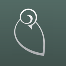 Tiny Ptarmigan | Baby + Kids Clothing